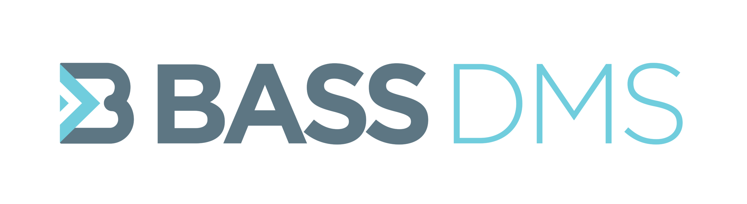 BassDMS logotip